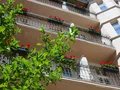 Ausblick Zimmer und Balkone