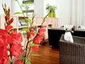 Hotels in Berlin | Hotel Ibis Berlin Mitte