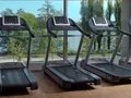 Hotels in Berlin | centrovital Hotel