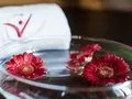 Hotels in Berlin | centrovital Hotel