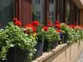 Hotelfassade im Sommer
