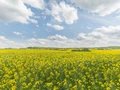 Landscape arround Chorin in Brandenburg