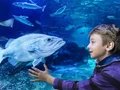 AquaDom and SEA LIFE - Attraction in Berlin