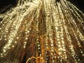 Pioggia di luci su un albero nel Giardino di Natale dell'Orto Botanico di Berlino