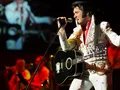 Elvis - Das Musical 