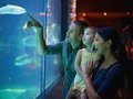 Familie im Aquarium in Berlin
