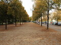 Unter den Linden (Bajo los Tilos) en otoño