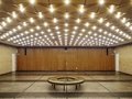 Kino International