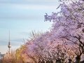 Frühling