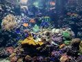 Aquarium Berlin