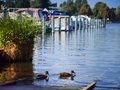 Bootsliegeplätze "Marina Wendeschloß"