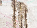 Les vestiges du mur de Berlin