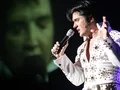 Stars in Concert - Die Show der Megastars