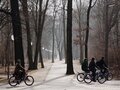 Tiergarten - Winter