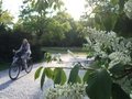 unterwegs mit dem Fahrrad in Berlin