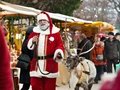 Weihnachtsmarkt Späthsche Baumschulen