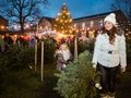 Mutter und Kind beim Tannenbaumkaufen