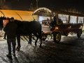 Weihnachtsmarkt Späth´sche Baumschulen