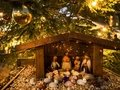 Weihnachtsmarkt Späth´sche Baumschulen