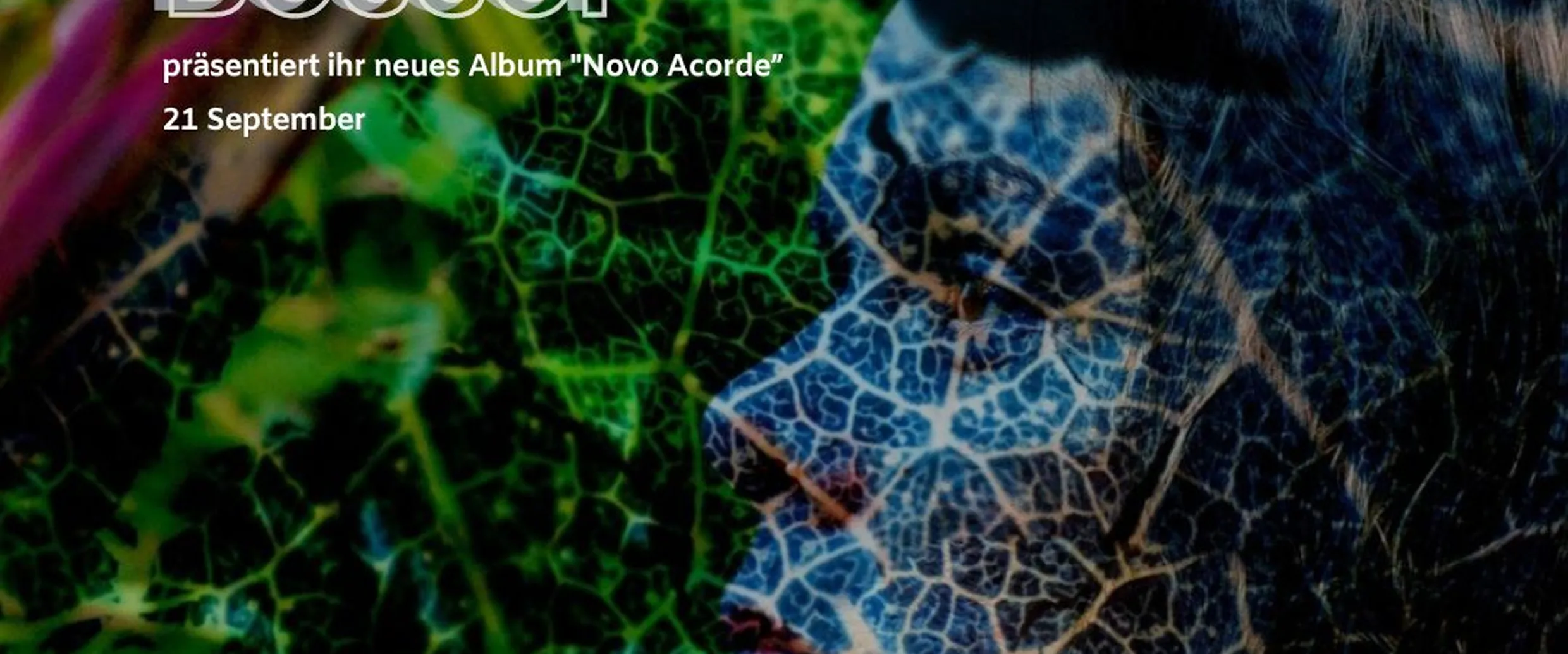 Forum Brasil pr&auml;sentiert "Novo Acorde" von Monica Besser