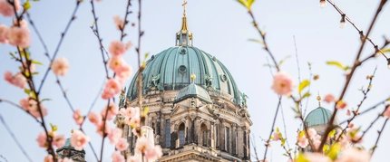 Berliner Dom im Frühling Berliner Dom im Frühling