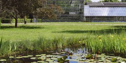 Botanischer Volkspark Blankenfelde-Pankow