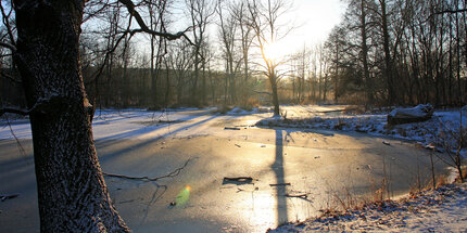 Foto: Teich im Wuhletal im Winter