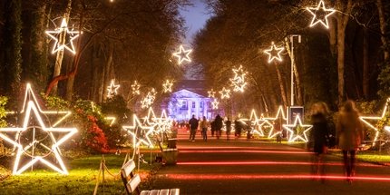 Sternenlichter bei Weihnachten im Tierpark, Friedrichsfelde