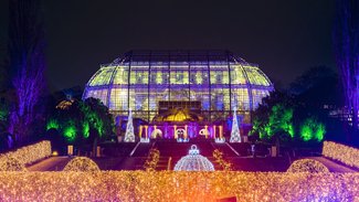 Christmas Garden 2021
