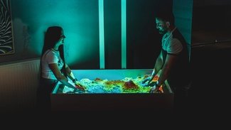 Deja Vu Museum in Berlin, colour illusions