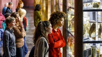 Besucherinnen im Museum für Naturkunde Berlin