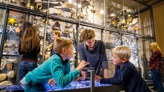 Familie im Museum für Naturkunde Berlin - eine Attraktion für Kinder