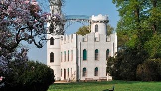 Blühende Tulpenmagnolien am Schloss Pfaueninsel in Berlin