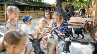 Streichelzoo im Zoo Berlin