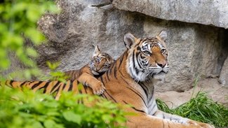 Tierpark Berlin