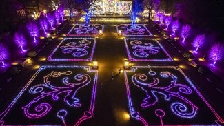 Christmas Garden 