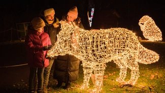 Weihnachten im Tierpark 2021