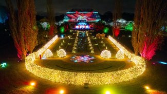 Christmas Garden 