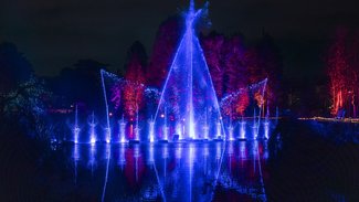Christmas Garden 