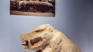 Ausstellungsansichten "Gebaute Gemeinschaft"