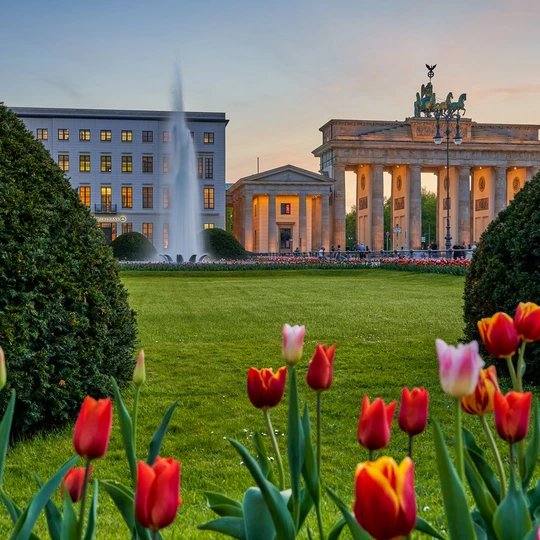 BerlinBrandenburger Tor am Pariser Platz mit einem Springbrunnen und schönen bunten Tulpen im Vordergrund im Frühling bei Sonnenuntergang