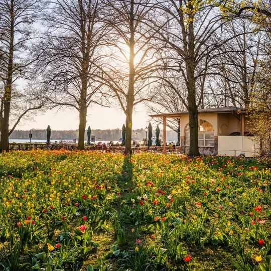 Frühling am Tegeler See