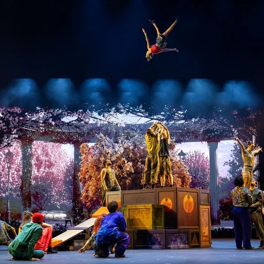 Cirque Du Soleil ALIZÉ - Planquine