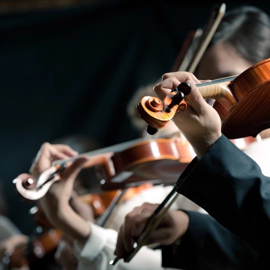 Streichinstrumente im Orchester