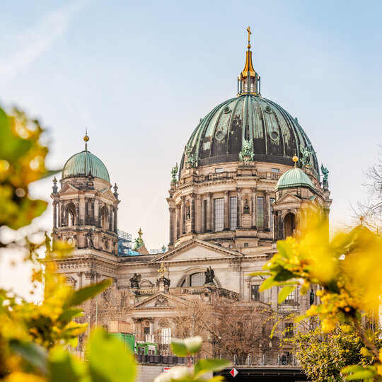 La cathédrale de Berlin à Berlin-Mitte avec des fleurs de printemps 