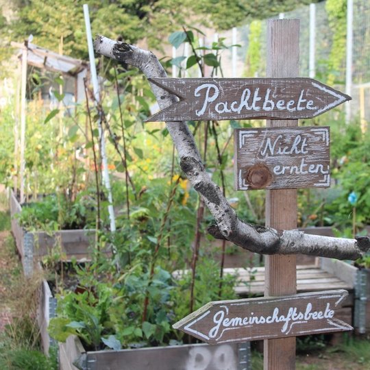Himmelbeet community garden in Berlin