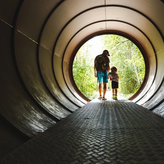 Natur-Park Schöneberger Südgelände