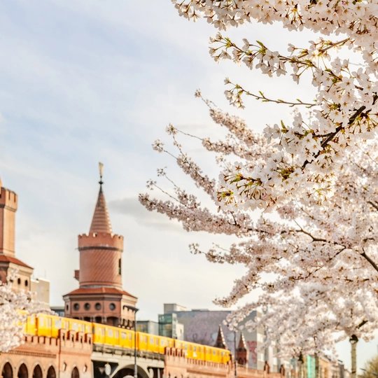 Oberbaumbrücke im Frühling