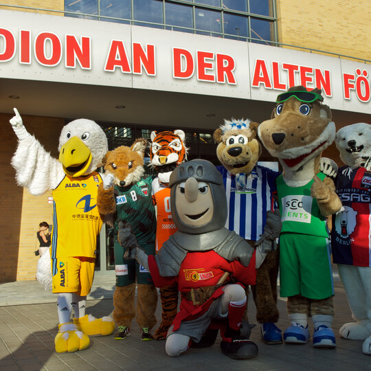 Mascots Professionell Berlin Sports Clubs