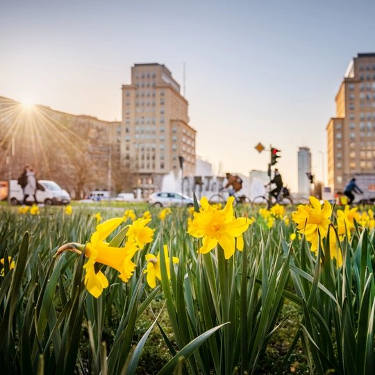 Berlin in spring | visitBerlin.de